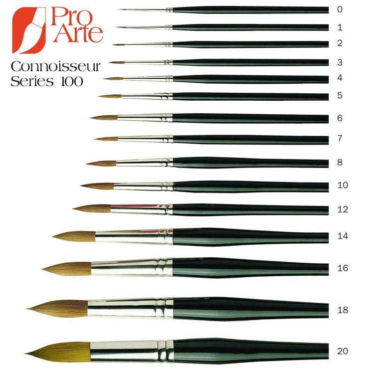 PRO ARTE S100 CONNOISSEUR