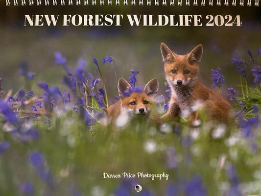 New Forest Wildlife Calendars