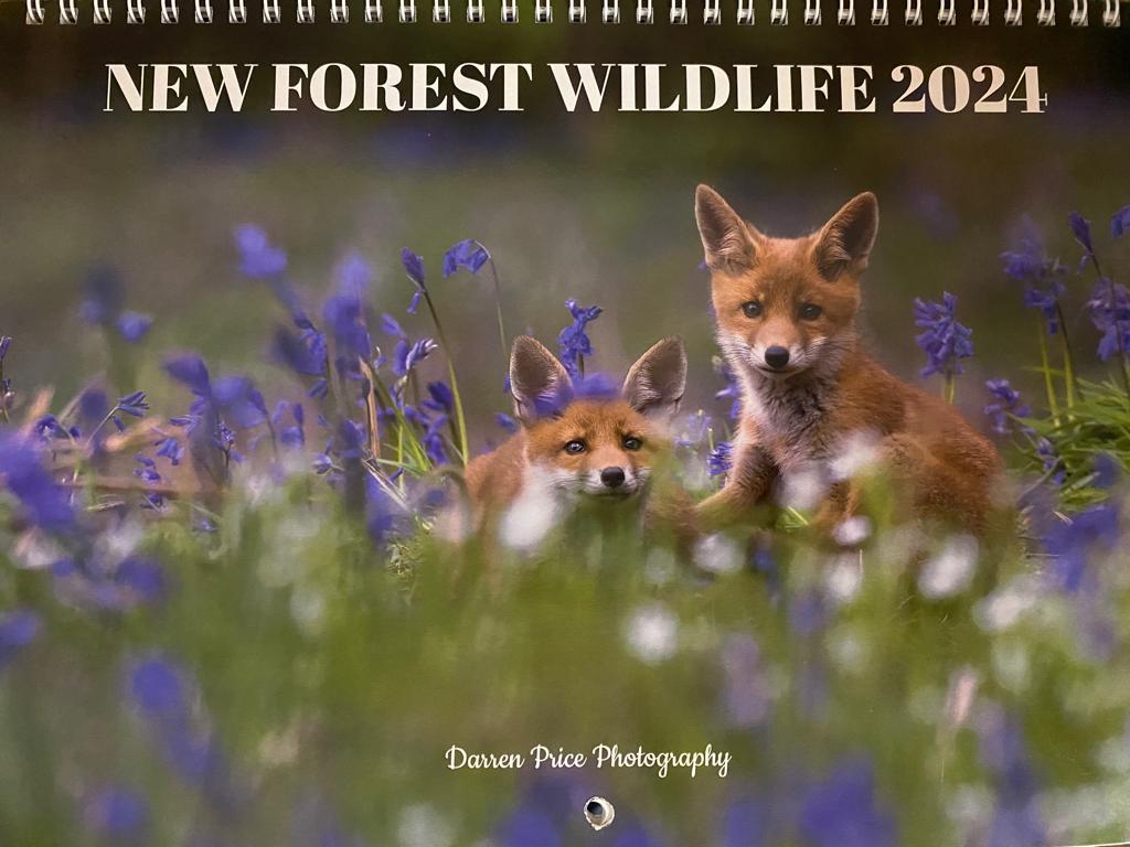 New Forest Wildlife Calendars - Lunns Art Store